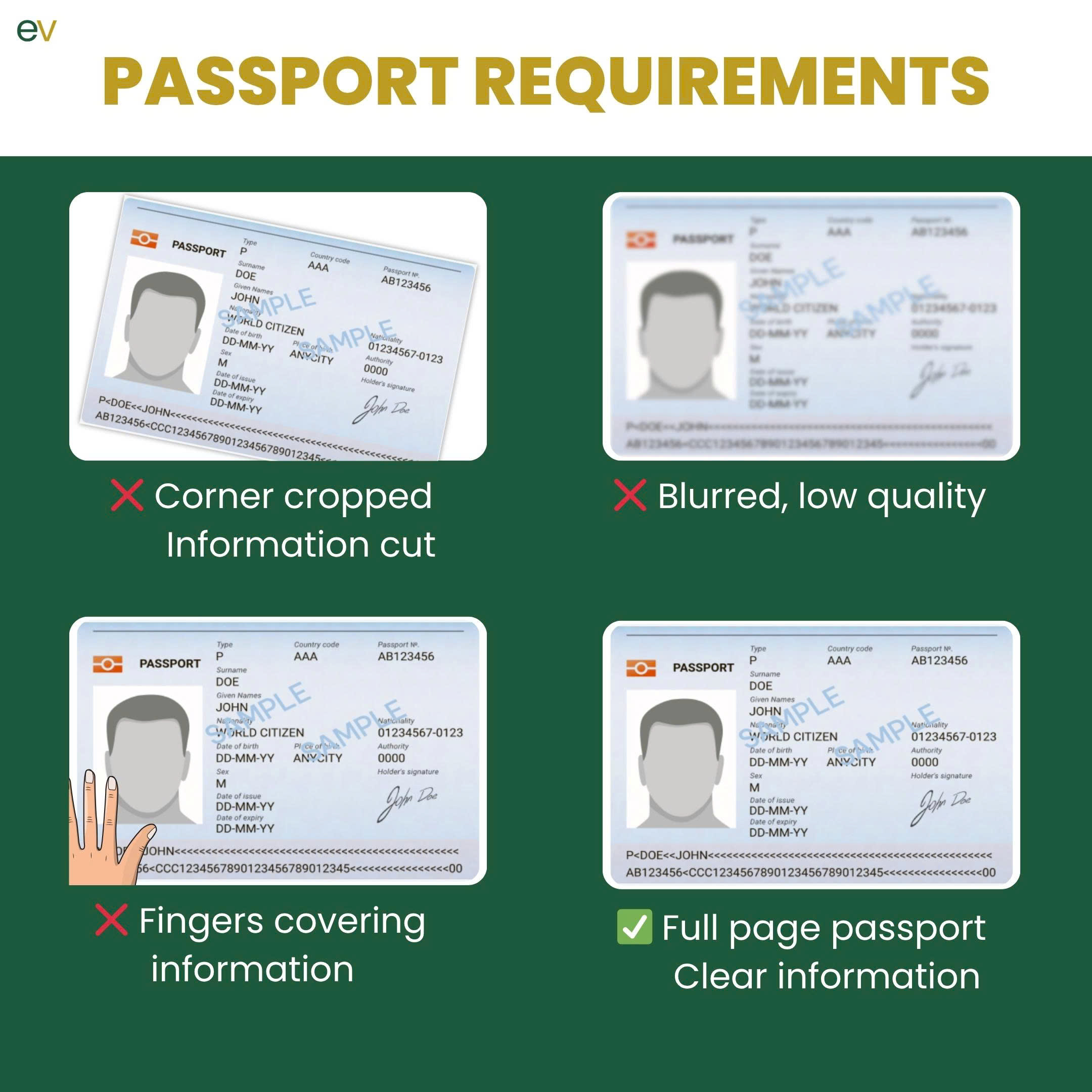 Passport requirements example